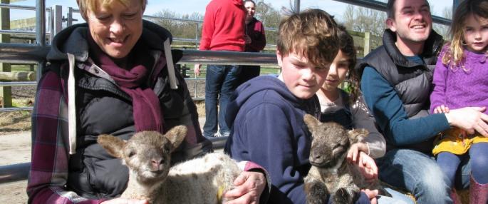 Attachment lamb2-josaundersweb_0.jpg